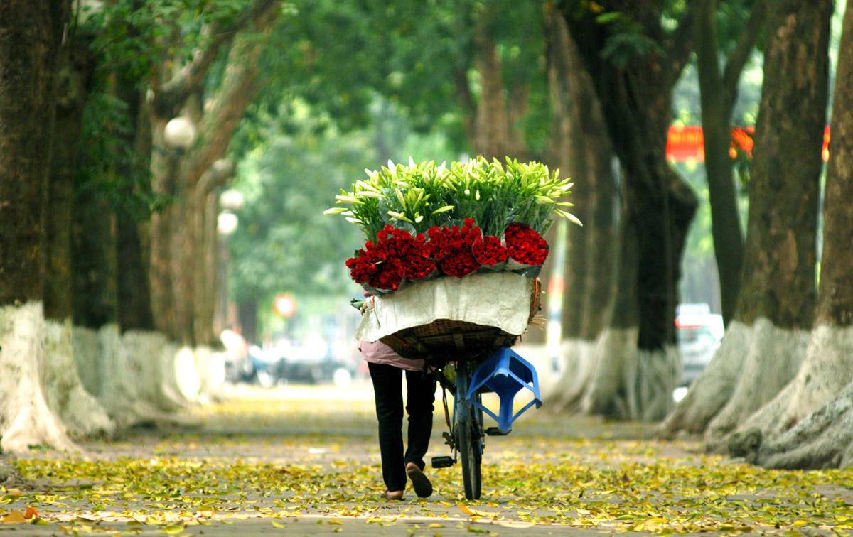 Thời tiết ngày 19/3/2023: Bắc Bộ có sương mù rải rác