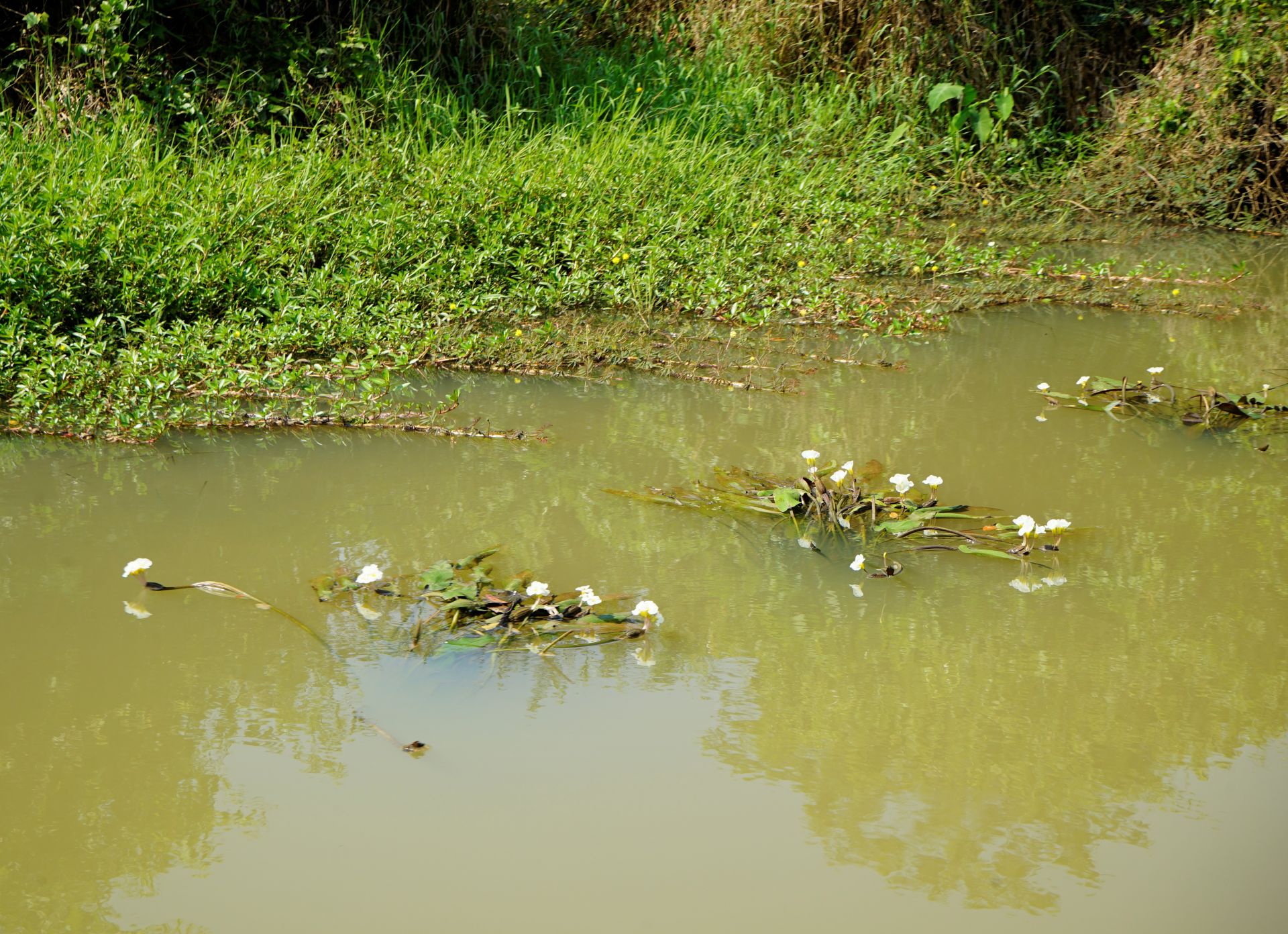 Nét đẹp hoang sơ thượng nguồn sông Vàm Cỏ Đông Nét đẹp hoang sơ thượng nguồn sông Vàm Cỏ Đông