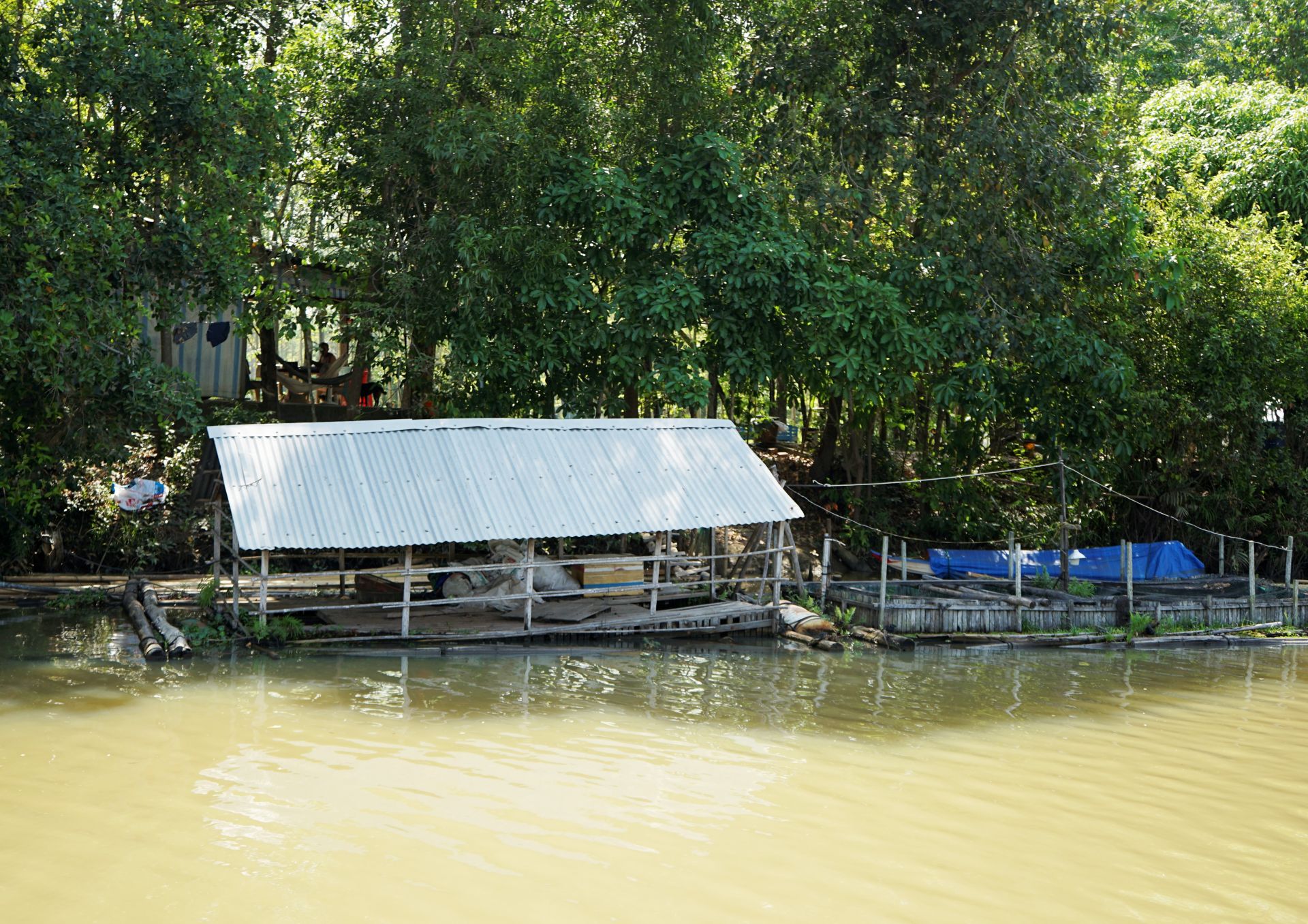 Nét đẹp hoang sơ thượng nguồn sông Vàm Cỏ Đông Nét đẹp hoang sơ thượng nguồn sông Vàm Cỏ Đông