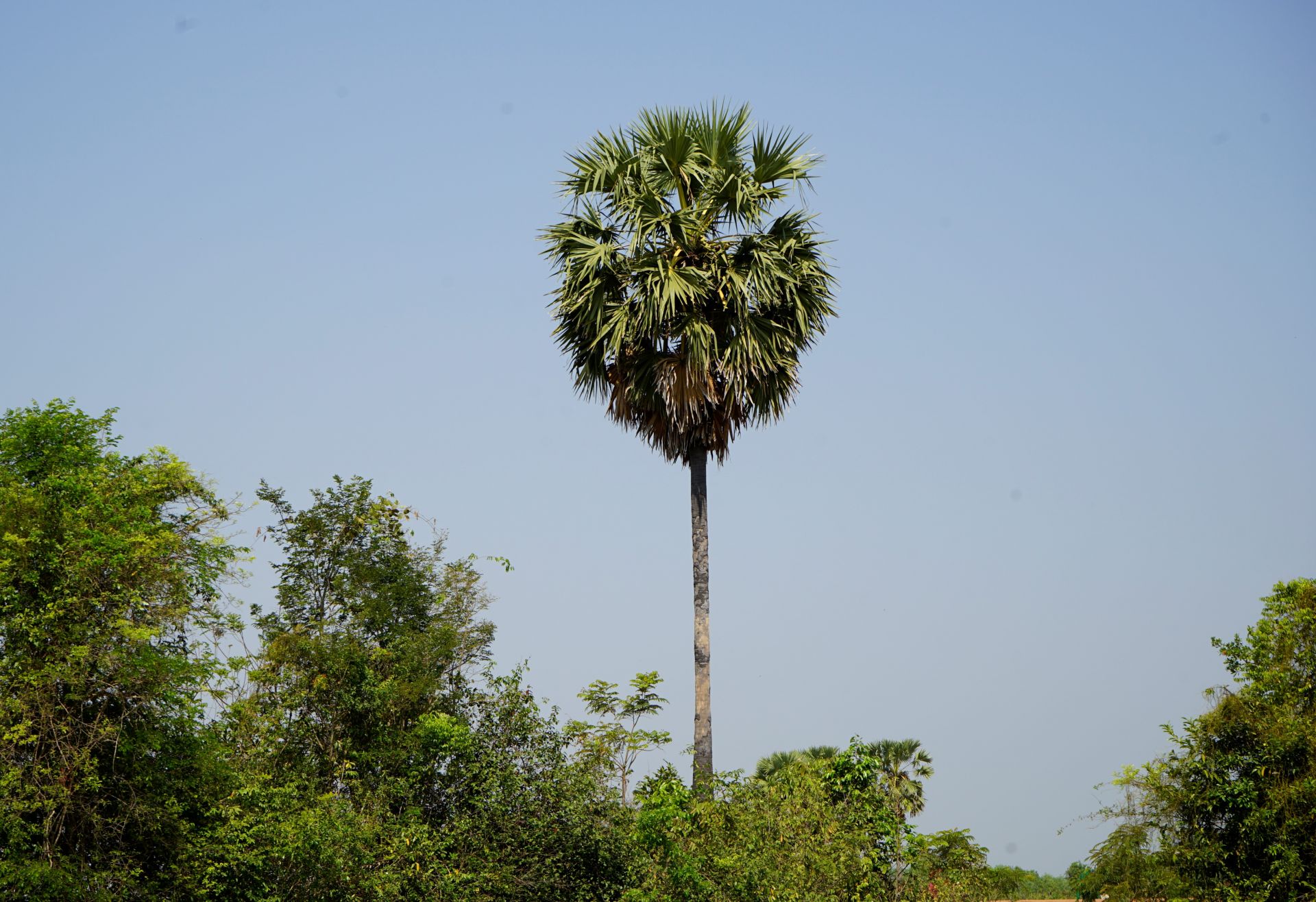 Nét đẹp hoang sơ thượng nguồn sông Vàm Cỏ Đông Nét đẹp hoang sơ thượng nguồn sông Vàm Cỏ Đông