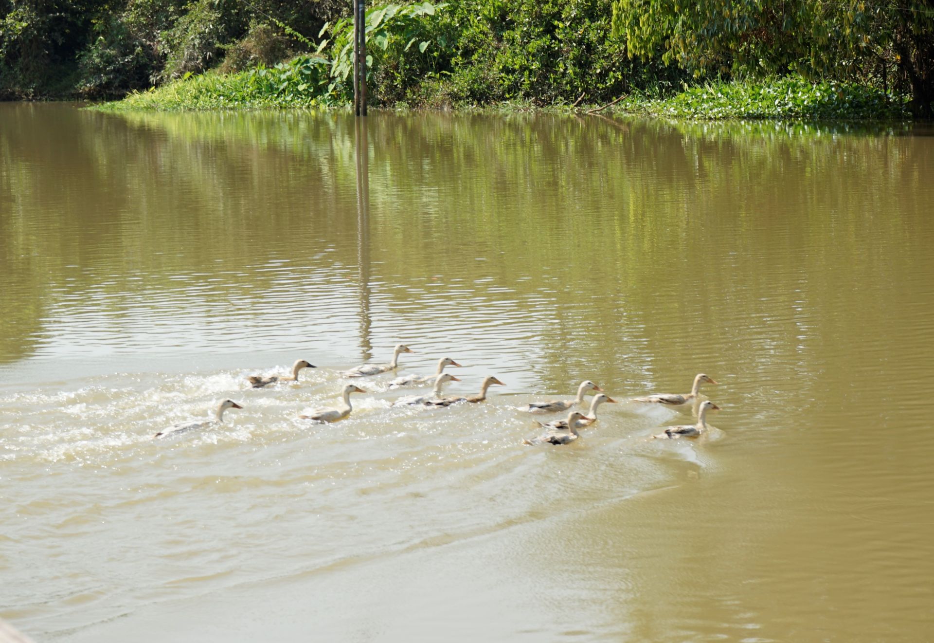 Nét đẹp hoang sơ thượng nguồn sông Vàm Cỏ Đông Nét đẹp hoang sơ thượng nguồn sông Vàm Cỏ Đông