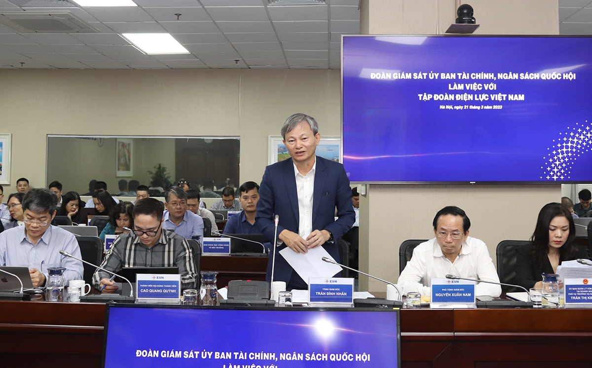 Đoàn giám sát Ủy ban Tài chính - Ngân sách của Quốc hội khóa XV làm việc với EVN