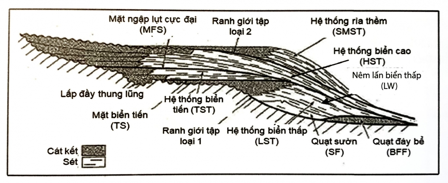 Hệ thống trầm tích