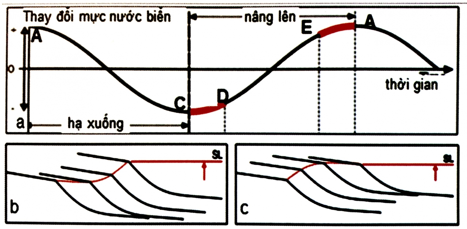 Hệ thống trầm tích