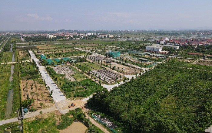 Chủ tịch Hà Nội ra 
