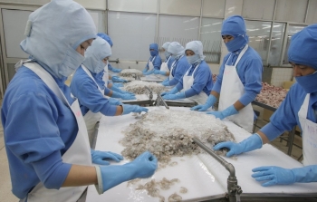 Tin tức kinh tế ngày 23/3: Việt Nam là thị trường cung cấp tôm lớn nhất cho Hàn Quốc