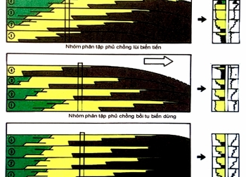 Phân tập và nhóm phân tập
