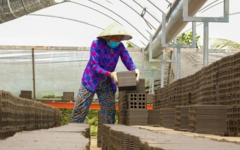 "Vương quốc gạch gốm" miền Tây loay hoay tìm lối thoát giữa bão giá