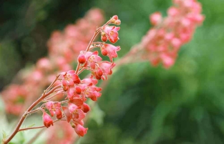 Tử vi ngày 6/9/2023: Tuổi Mão tự lực cánh sinh, tuổi Hợi vận may tình cảm
