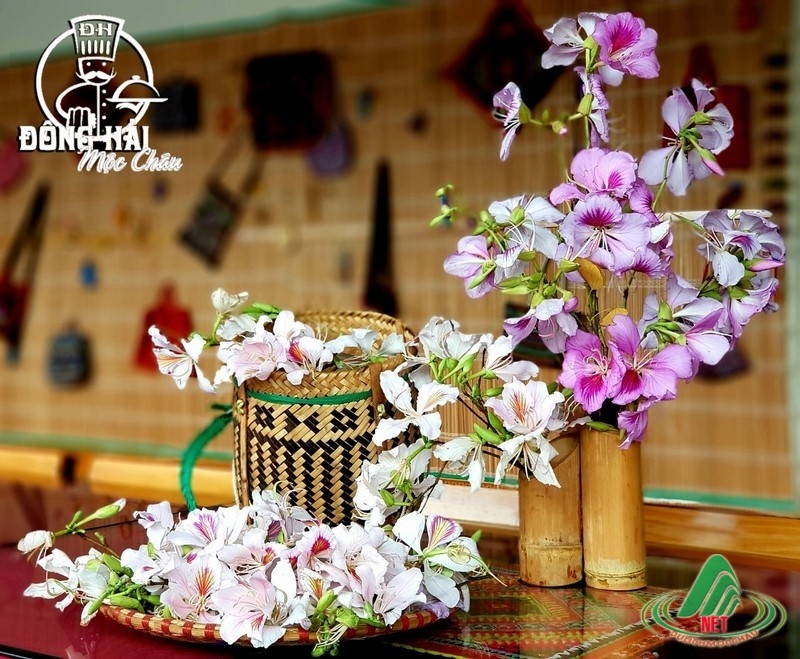 Những trải nghiệm thú vị nhất khi du lịch Mộc Châu tháng 3