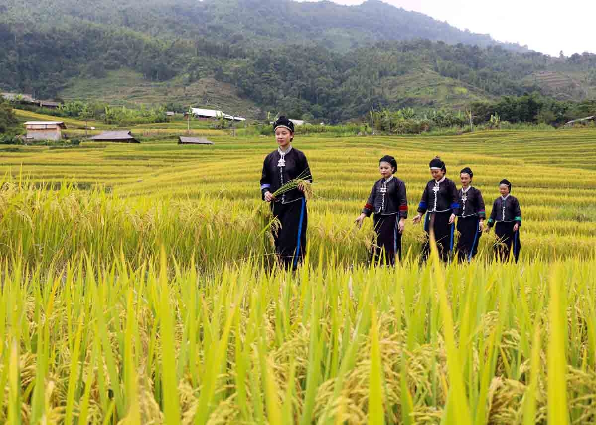 Giữ gìn trang phục dân tộc Nùng ở Hoàng Su Phì