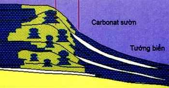 Địa tầng phân tập với đá carbonat