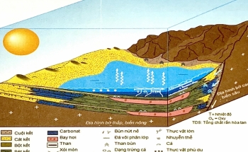 Địa tầng phân tập các loại bể hồ