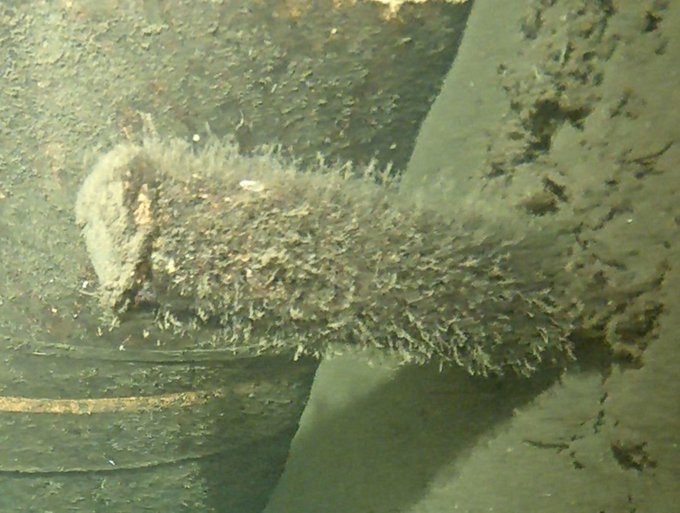 Đan Mạch xác minh vật thể lạ gần đường ống dẫn khí Nord Stream 2 Đan Mạch xác minh vật thể lạ gần đường ống dẫn khí Nord Stream 2