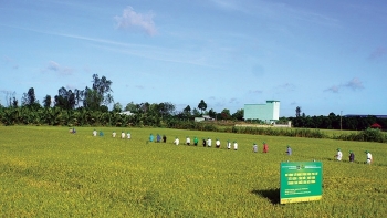 Thực thi sứ mệnh vì chữ "An"