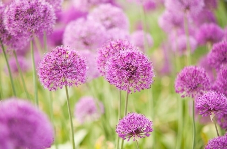 Tử vi ngày 25/6/2023: Tuổi Tý thuận lợi không ngờ, tuổi Mão cần phải bình tĩnh