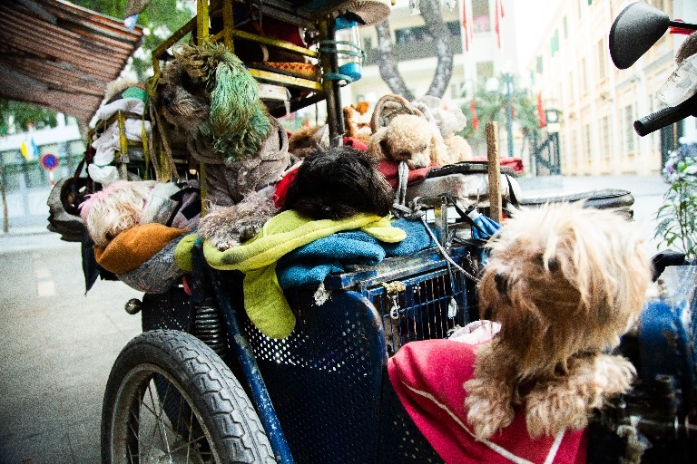 “Bây giờ, tôi mới chính thức sống cho mình!”