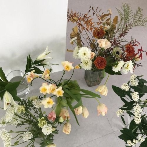 Tử vi 12 con giáp ngày 25/6/2023: Tuổi Dậu nhiều cơ hội, tuổi Mão gặp thử thách
