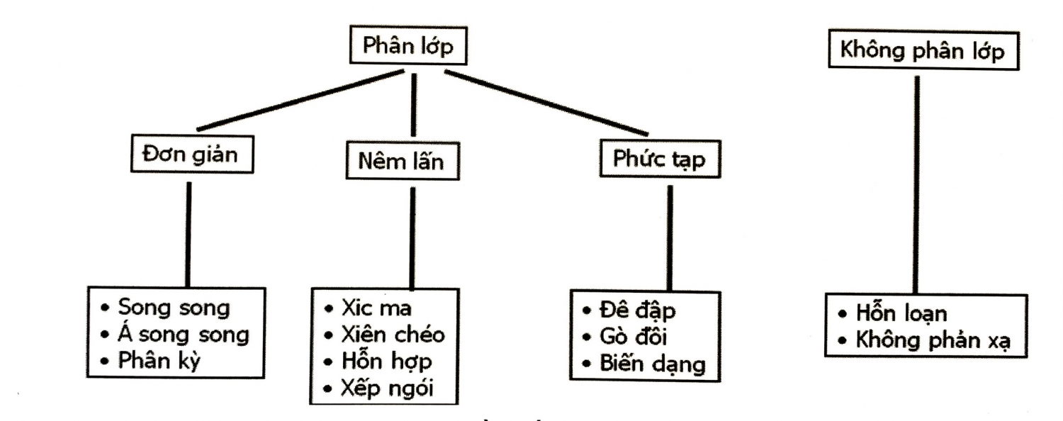 Tướng địa chấn