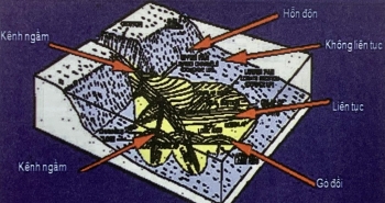 Minh giải tướng và môi trường trầm tích