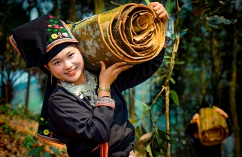 Bảo đảm an sinh xã hội cho lao động khu vực phi chính thức - Vấn đề và giải pháp