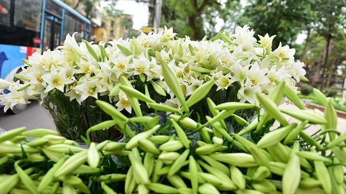 Tử vi ngày 5/4/2023 của 12 cung hoàng đạo: Song Tử công việc thuận lợi, Thiên Bình cảm xúc tiêu cực