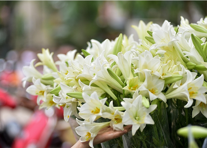 Tử vi ngày 5/4/2023 của 12 cung hoàng đạo: Song Tử công việc thuận lợi, Thiên Bình cảm xúc tiêu cực