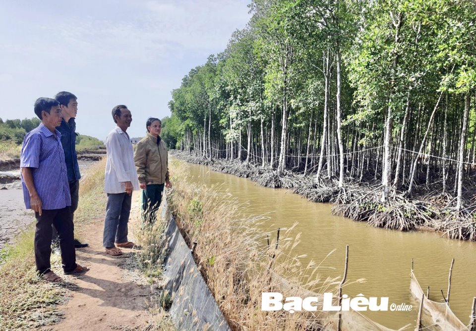 Bạc Liêu: Đánh thức tiềm năng du lịch sinh thái rừng