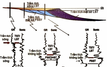 Chính xác hóa các phân vị địa tầng