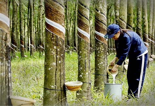 Tin tức kinh tế ngày 5/4: