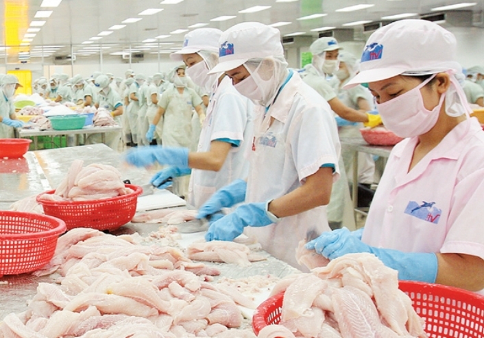 Tin tức kinh tế ngày 7/4: Xuất khẩu cá tra sang Ả Rập Xê-út tăng mạnh
