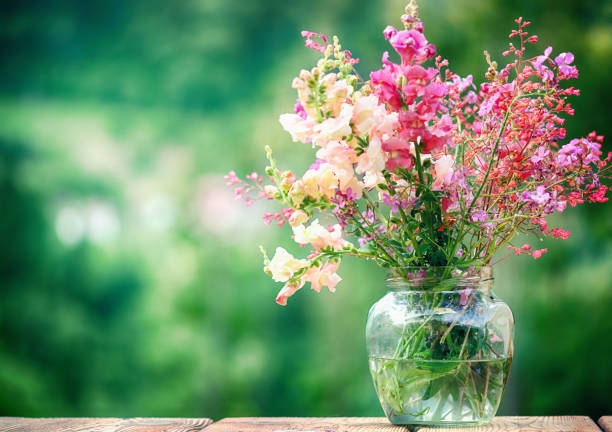 Tử vi tuần mới 15/5   21/5/2023: Tuổi Dần tranh đấu liên tiếp, tuổi Thân khẳng định vị thế