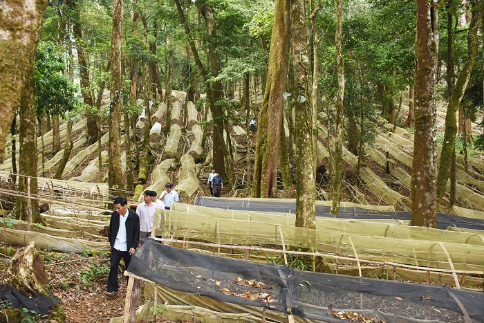 Du lịch trải nghiệm ở Tu Mơ Rông