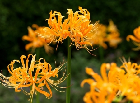 Tử vi ngày 19/8/2023 của 12 cung hoàng đạo: Kim Ngưu kiên trì, Bọ Cạp tích cực