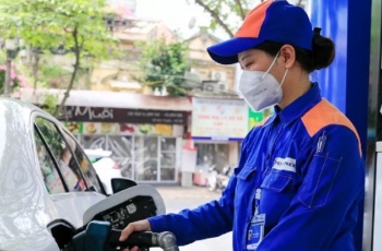 Chi phí định mức xăng dầu không có biến động bất thường