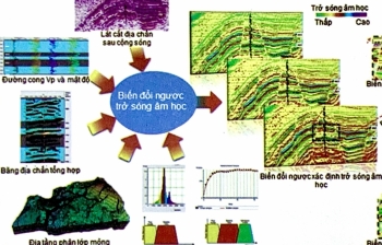 Minh giải đặc điểm vỉa chứa