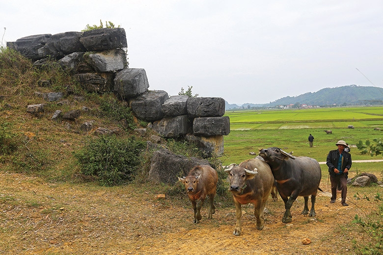 Kỳ bí Thành nhà Hồ