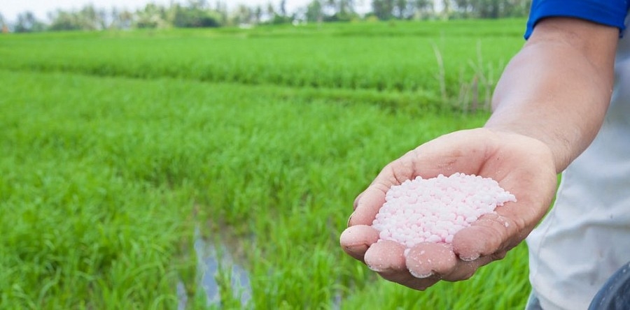 Giá phân bón hôm nay 16/4: Urê phục hồi trở lại