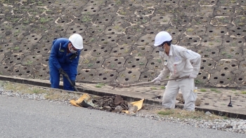 Chi đoàn BDSC ra quân dọn dẹp NMLD Dung Quất