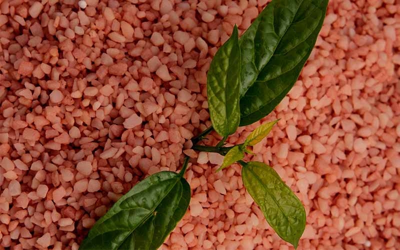 Giá phân bón hôm nay 17/4: Kali giảm