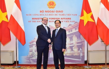 Bộ trưởng Bùi Thanh Sơn hội đàm với Bộ trưởng Ngoại giao Áo Alexander Schallenberg