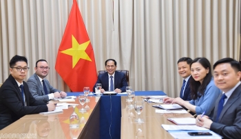 Bộ trưởng Bùi Thanh Sơn hội đàm trực tuyến với Bộ trưởng Ngoại giao và Hợp tác Mozambique
