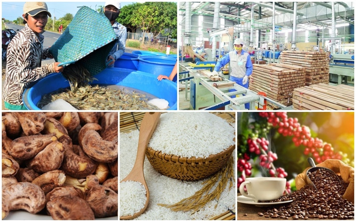 Tập trung tháo gỡ khó khăn, thúc đẩy sản xuất, tiêu thụ nông sản và chống khai thác hải sản bất hợp pháp