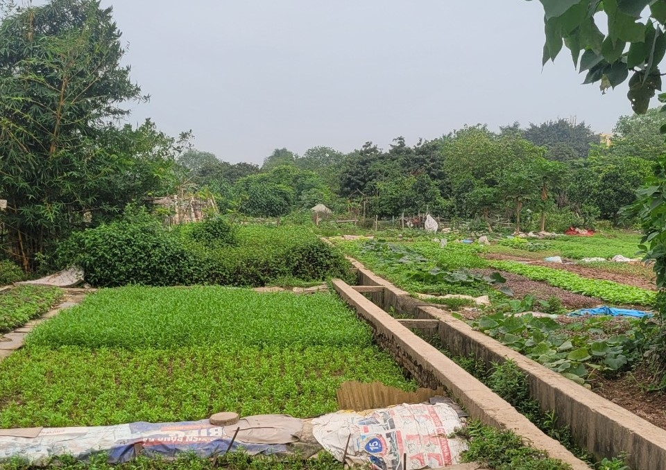 Điểm danh loạt dự án “ôm đất” của HUD