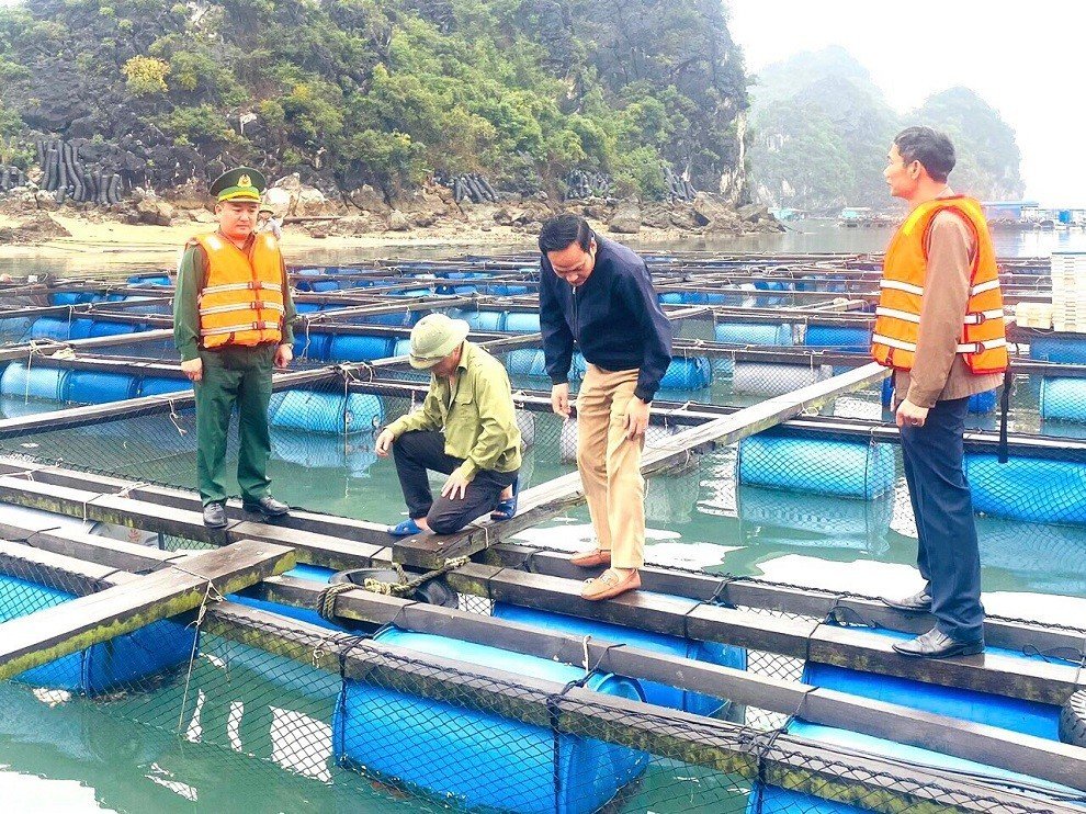 Chủ động, tích cực bảo vệ chủ quyền, an ninh biên giới biển