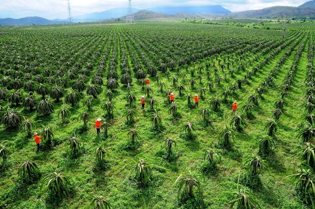 Nghỉ lễ 30/4 và 1/5 tại Phan Thiết