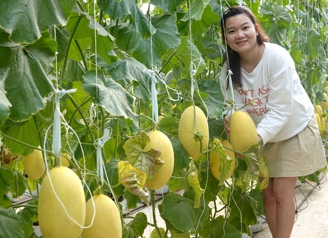 Nghỉ lễ 30/4 và 1/5 tại Phan Thiết