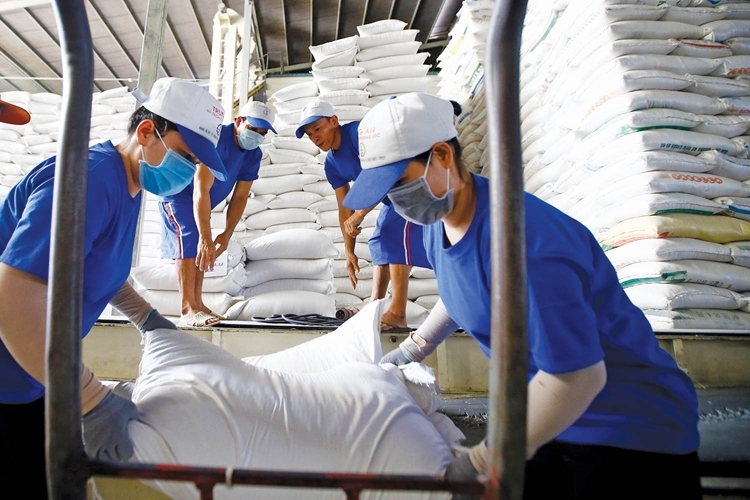 Tin tức kinh tế ngày 1/5: Giá gạo xuất khẩu Việt Nam vượt Thái Lan