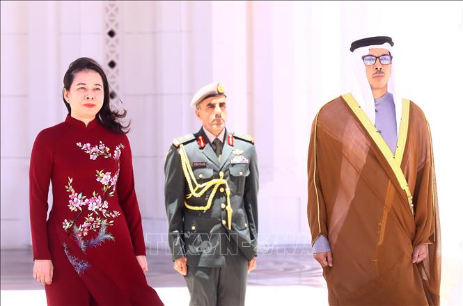 Phó Chủ tịch nước Võ Thị Ánh Xuân hội kiến Tổng thống UAE Chú thích ảnh