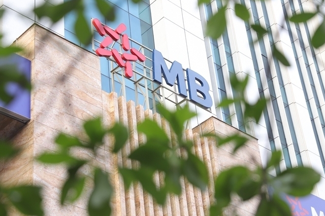 MB đang đổ tiền vào ngành nào nhiều nhất?